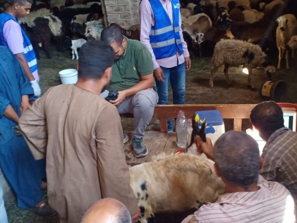 مشروع فرصة.. الانتهاء من تدريب 1200 مستفيد بـ 8 محافظات