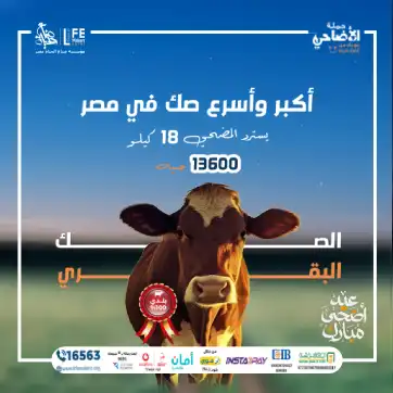 صك بقري صناع الحياة مصر
