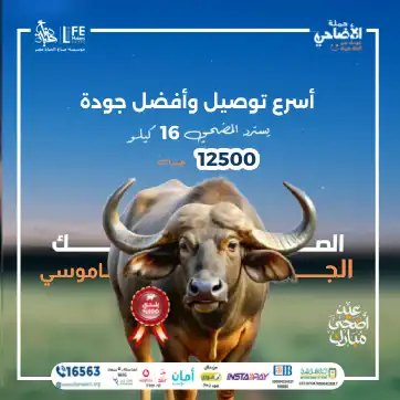 صك جاموسي صناع الحياة مصر