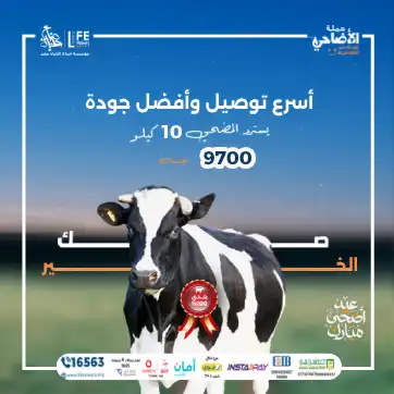 صك الخير صناع الحياة مصر